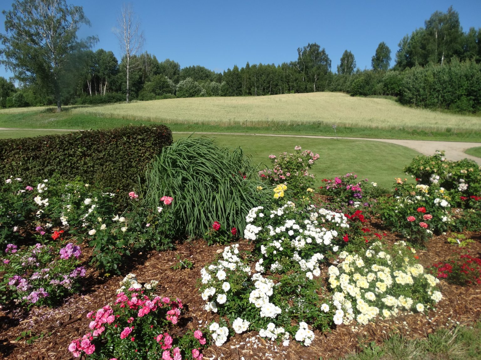 Kontakti r tes Kontakti r tes