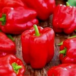 Paprika (lauka) Roberta F1